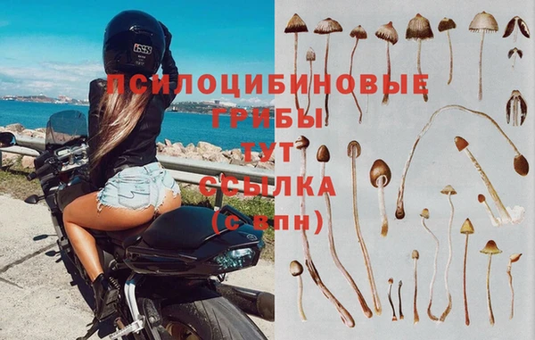герыч Бердск