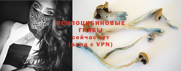 стаф Ачинск
