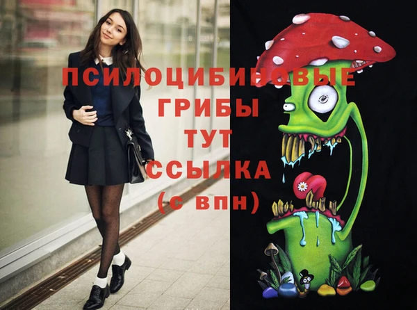 spice Верхний Тагил