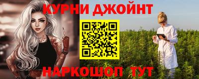 шишки Можга