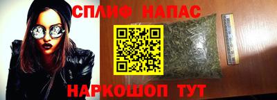 шишки Можга