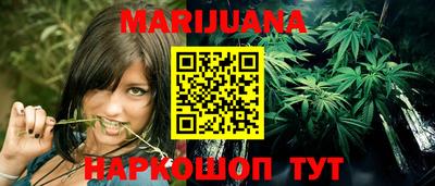 шишки Можга