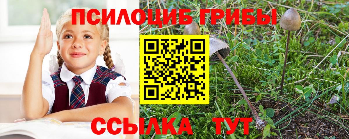 Галлюциногенные грибы мухоморы Глазов