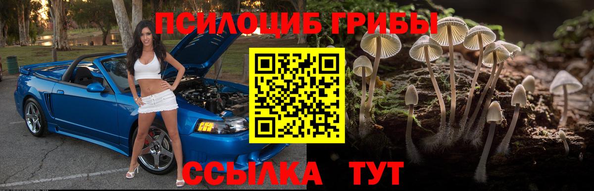 Псилоцибиновые грибы Psilocybine cubensis  Глазов  Псилоцибиновые грибы Cubensis 